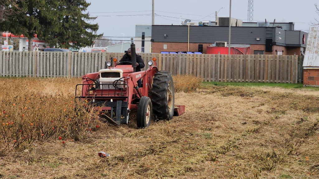 Farmers planting seedlings on the farm